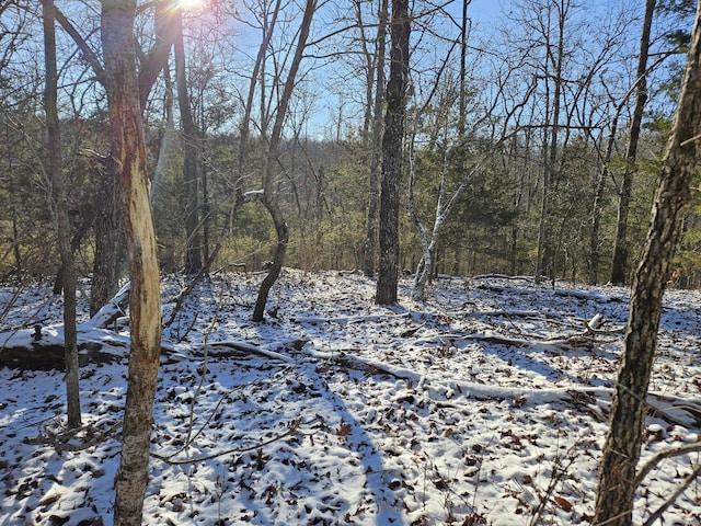 view of snow covered land