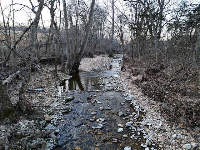 view of nature