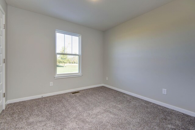 spare room featuring carpet