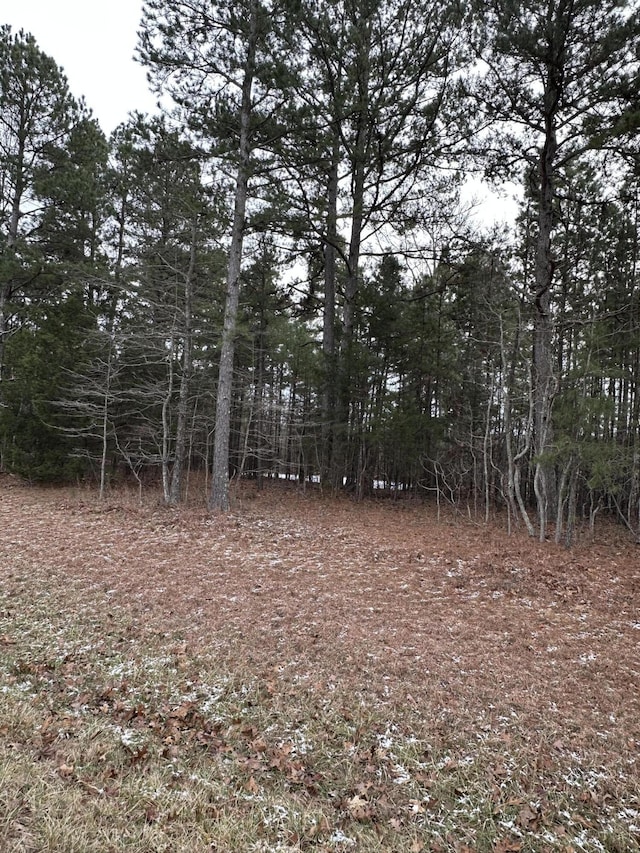 view of local wilderness