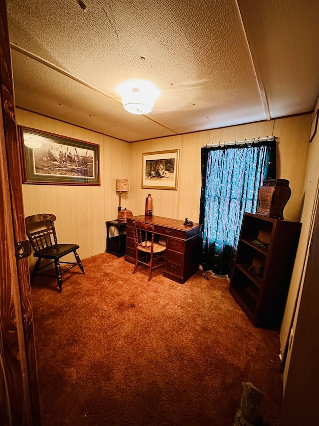 carpeted office space with a textured ceiling