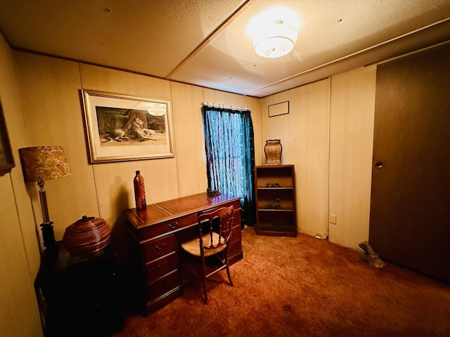 view of carpeted home office