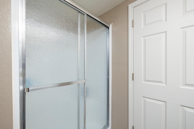 bathroom featuring a shower with shower door