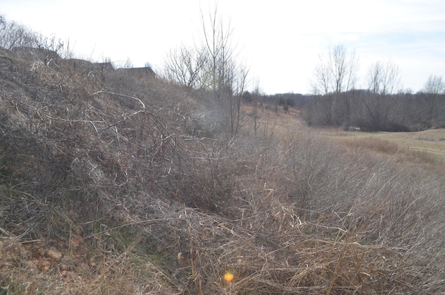 Listing photo 2 for LOT112 S Black Sands Ave, Nixa MO 65714