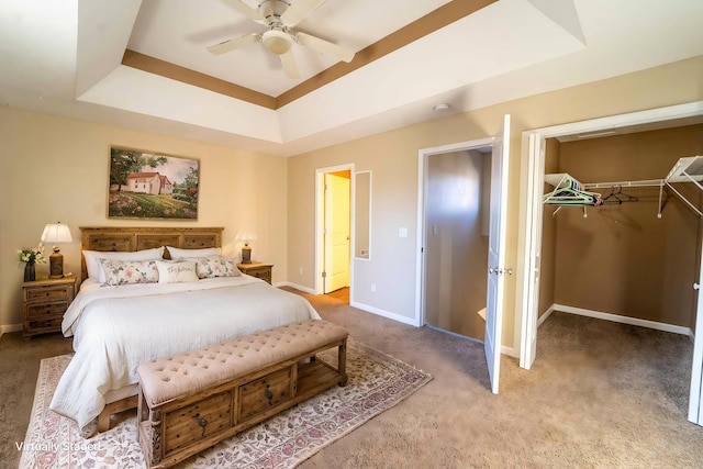 bedroom featuring a walk in closet, carpet, ceiling fan, a raised ceiling, and a closet