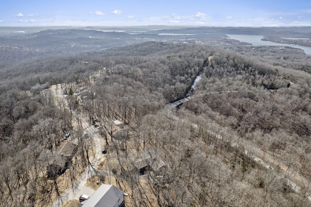 bird's eye view with a water and mountain view