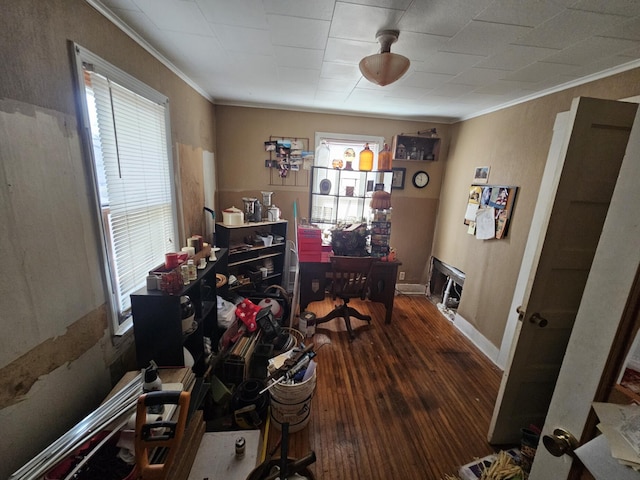 office area featuring crown molding and dark hardwood / wood-style floors