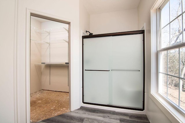 bathroom featuring hardwood / wood-style floors