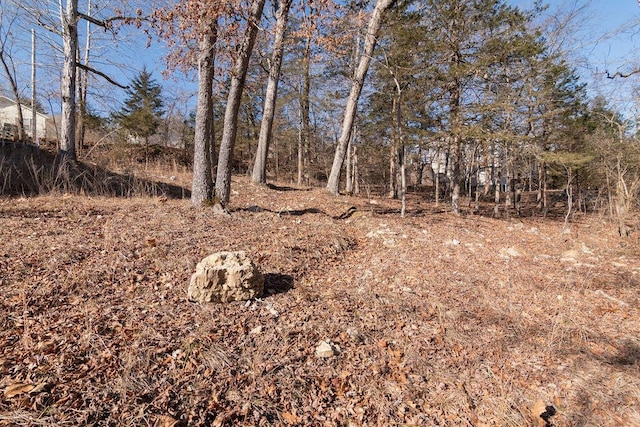 view of landscape