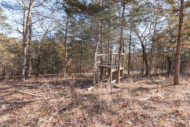 view of local wilderness