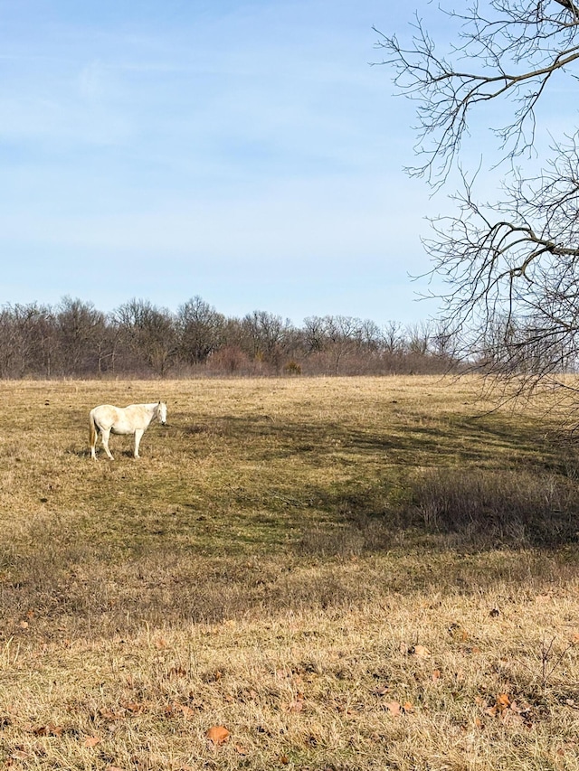 view of yard featuring a rural view