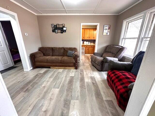 living room featuring light hardwood / wood-style floors