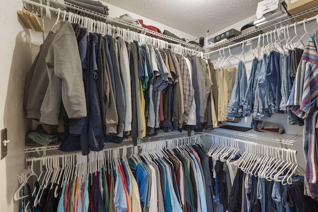 view of spacious closet