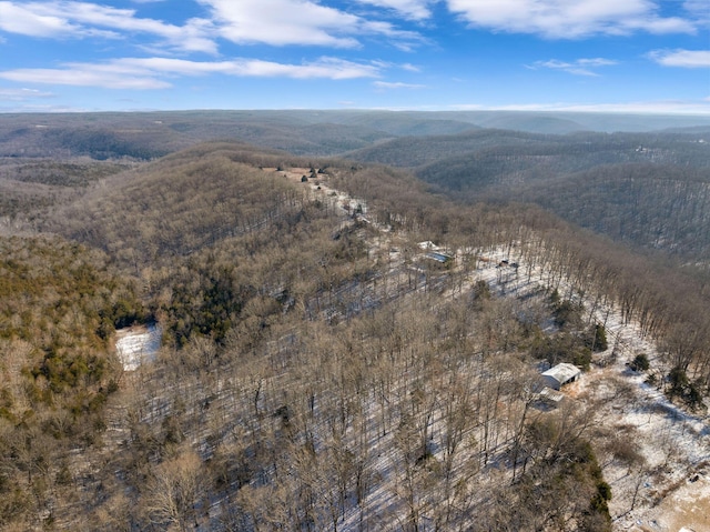 drone / aerial view featuring a mountain view