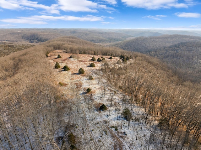 bird's eye view with a mountain view