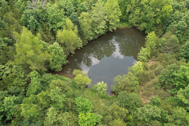 406 Red Bridge Rd, Ozark, MO 65721 - view of property location with a forest