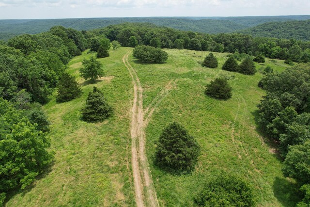 406 Red Bridge Rd, Ozark, MO 65721 - aerial view of a forest
