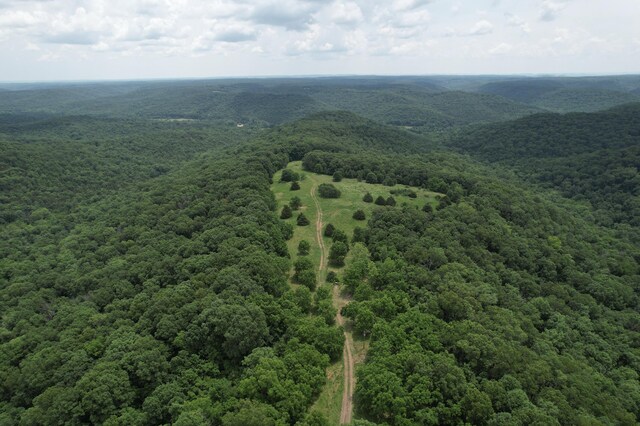406 Red Bridge Rd, Ozark, MO 65721 - aerial view of a heavily wooded area