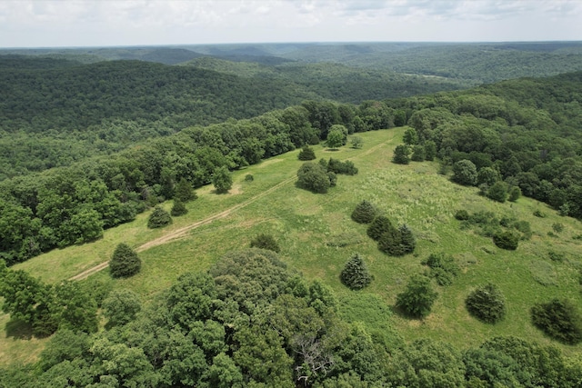 406 Red Bridge Rd, Ozark, MO 65721 - drone / aerial view of a forest