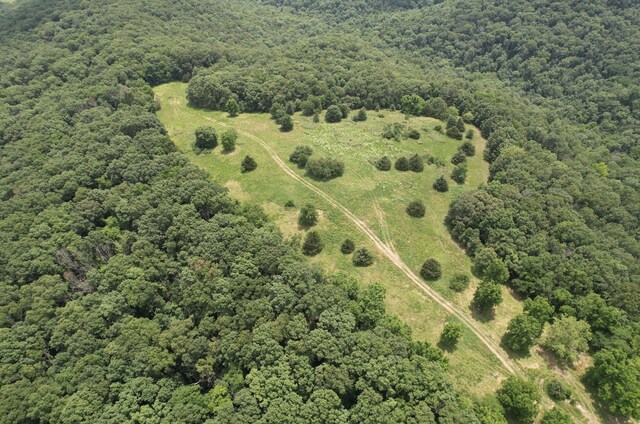 406 Red Bridge Rd, Ozark, MO 65721 - aerial view of property's location featuring a forest