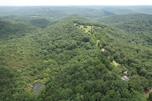 406 Red Bridge Rd, Ozark, MO 65721 - aerial view of a forest