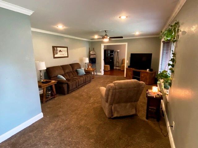 living room with crown molding, ceiling fan, and dark colored carpet