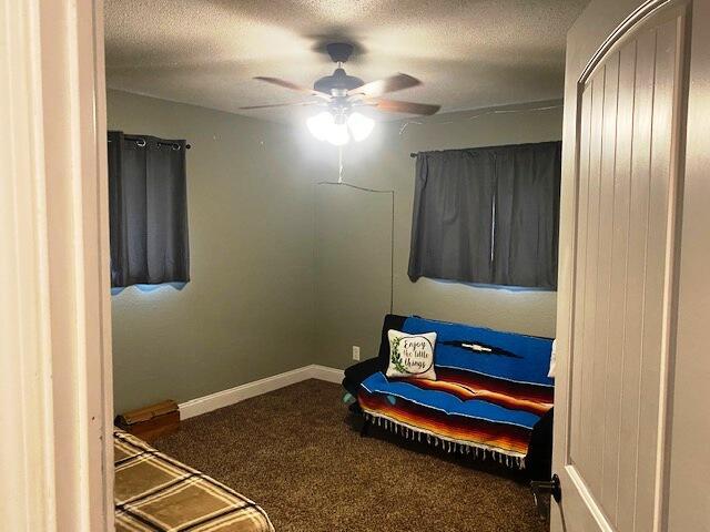 interior space with ceiling fan, carpet flooring, and a textured ceiling