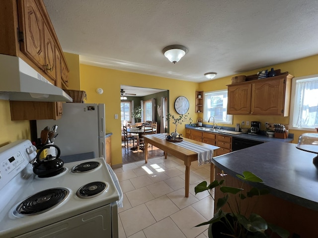 kitchen with a wealth of natural light, white appliances, under cabinet range hood, and light tile patterned floors