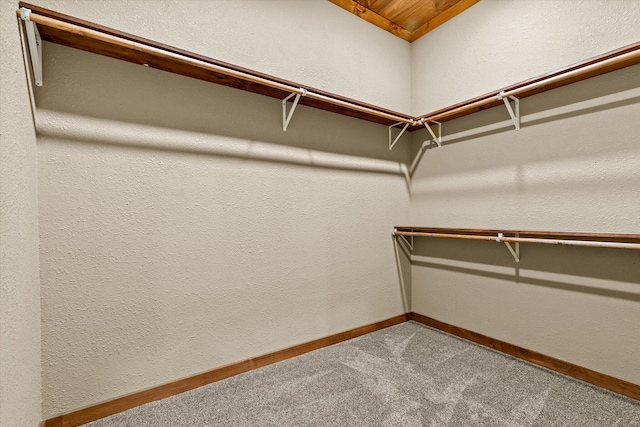 walk in closet with carpet flooring