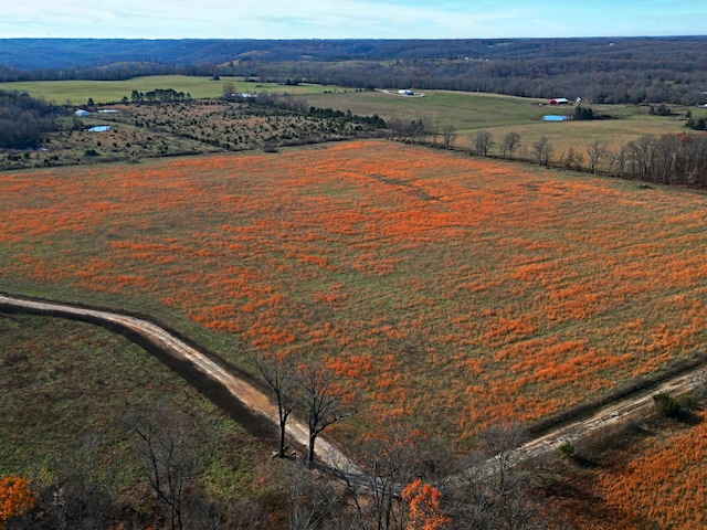 bird's eye view with a rural view