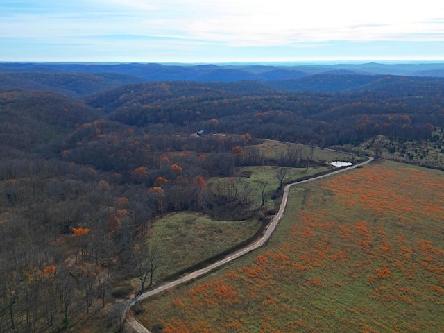 aerial view with a mountain view