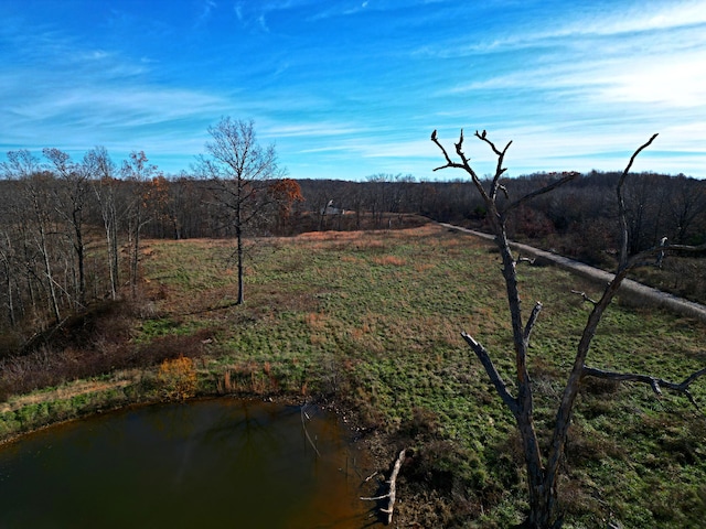 view of yard with a water view