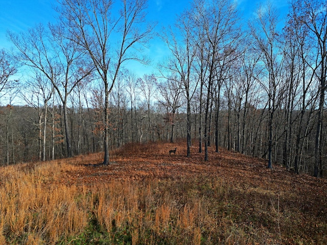 view of local wilderness