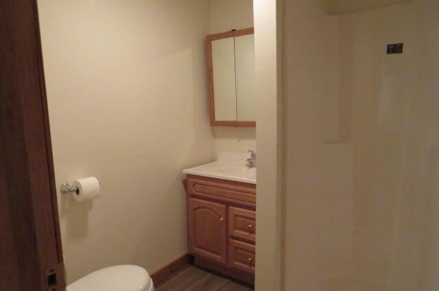 bathroom with vanity, wood-type flooring, and toilet