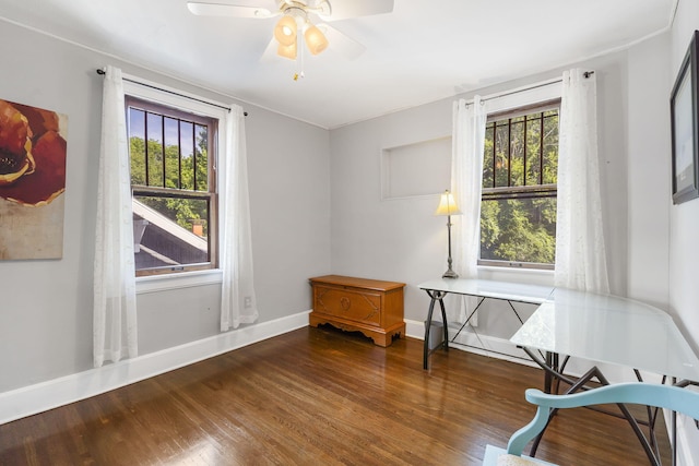 interior space featuring dark wood-type flooring, a wealth of natural light, and ceiling fan