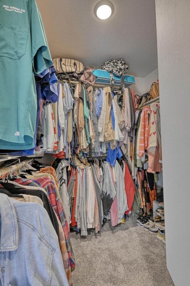 spacious closet with carpet flooring