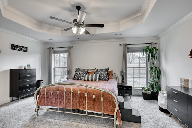 bedroom with multiple windows, carpet, ceiling fan, and a tray ceiling