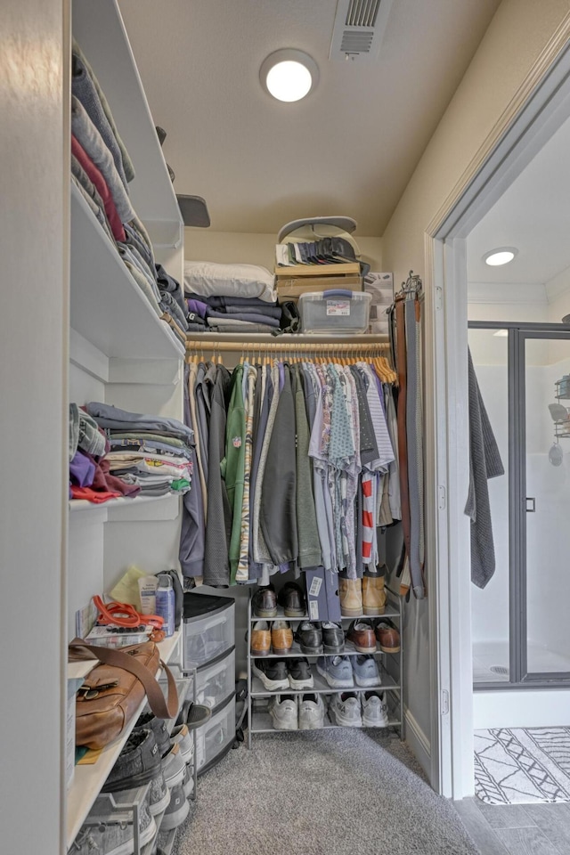 walk in closet featuring carpet flooring