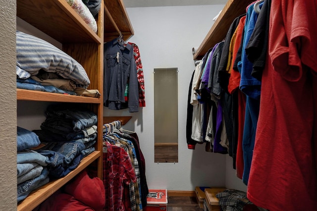 view of walk in closet