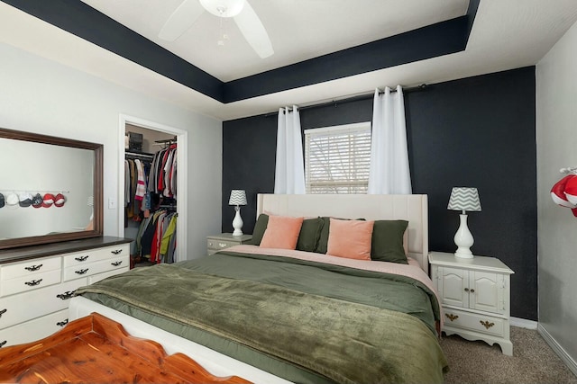 bedroom featuring ceiling fan, carpet, a raised ceiling, a walk in closet, and a closet