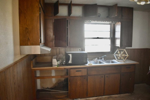 kitchen featuring sink and wooden walls