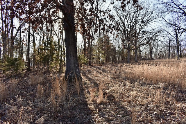 view of local wilderness