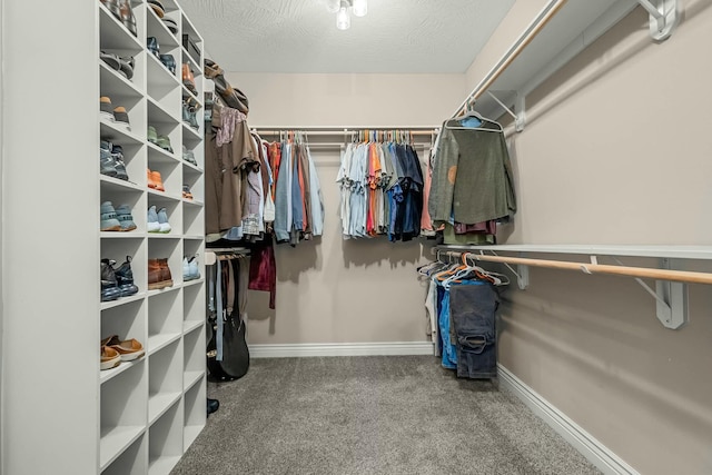 walk in closet with carpet floors