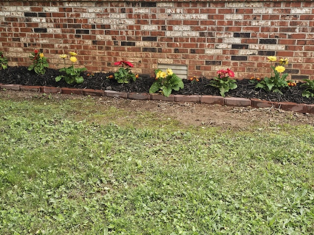1313 S Madison Ave, Aurora, MO 65605 - view of yard