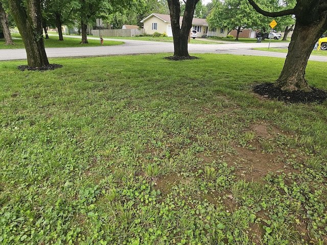 1313 S Madison Ave, Aurora, MO 65605 - view of green lawn featuring curved driveway