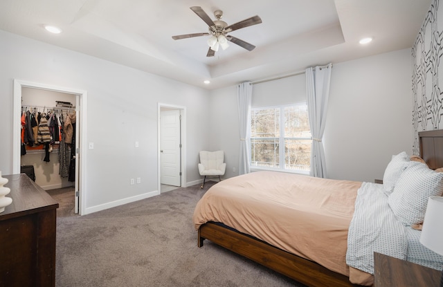 bedroom with a walk in closet, a tray ceiling, a closet, ceiling fan, and carpet