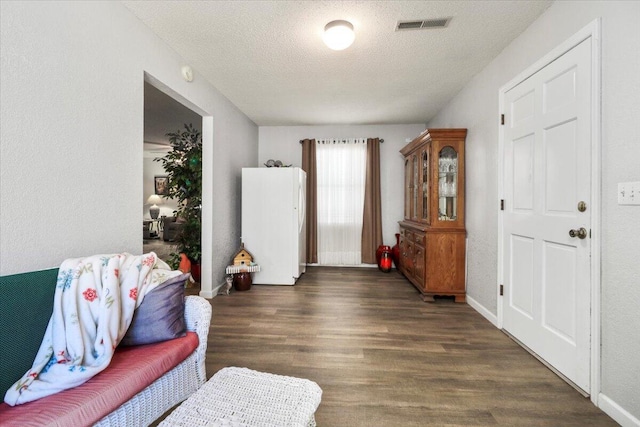 living area featuring dark hardwood / wood-style flooring and a textured ceiling