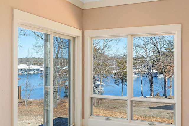 entryway with a healthy amount of sunlight and a water view