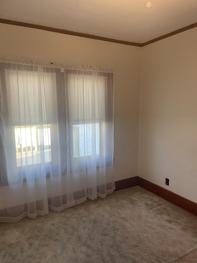 carpeted empty room featuring crown molding