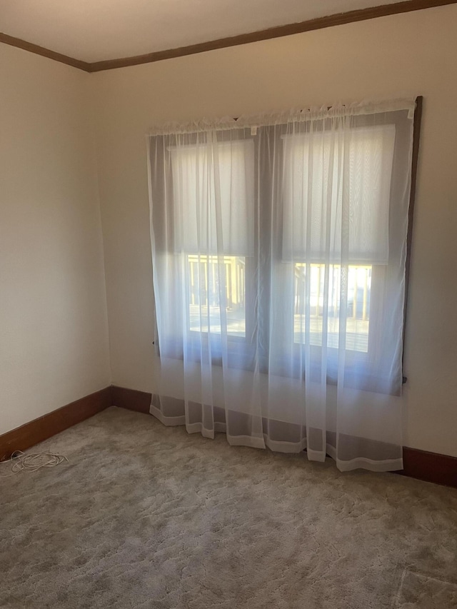 carpeted spare room featuring crown molding